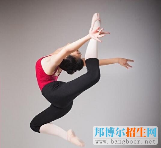 有關(guān)藝術(shù)特長生和藝術(shù)類考生的區(qū)別