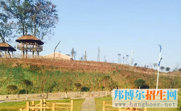重慶藝術學校2017年報名條件、招生對象