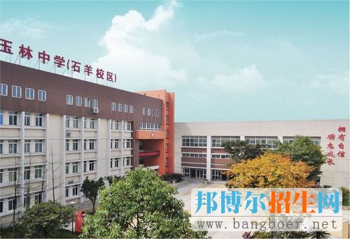 2017年玉林中學(石羊校區)錄取分數線