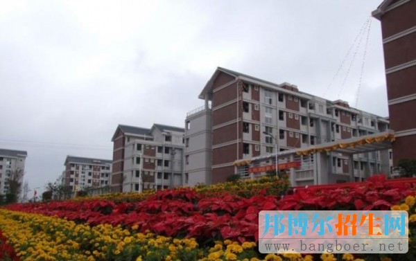 重慶醫科大學護理學院有哪些專業