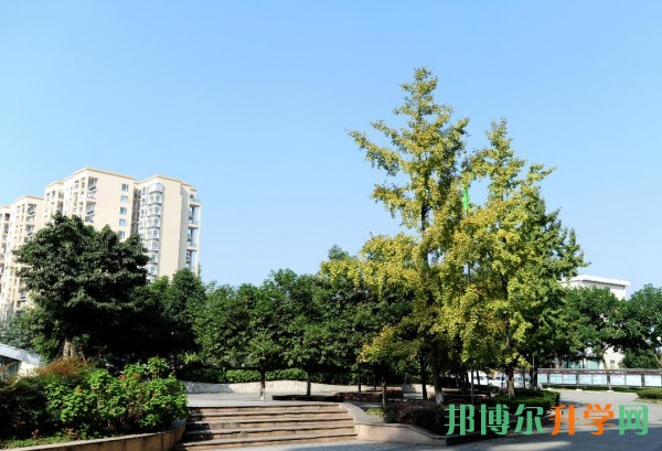 中考沒(méi)考上讀什么學(xué)校好
