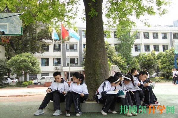 金牛區哪些普高要收高價生