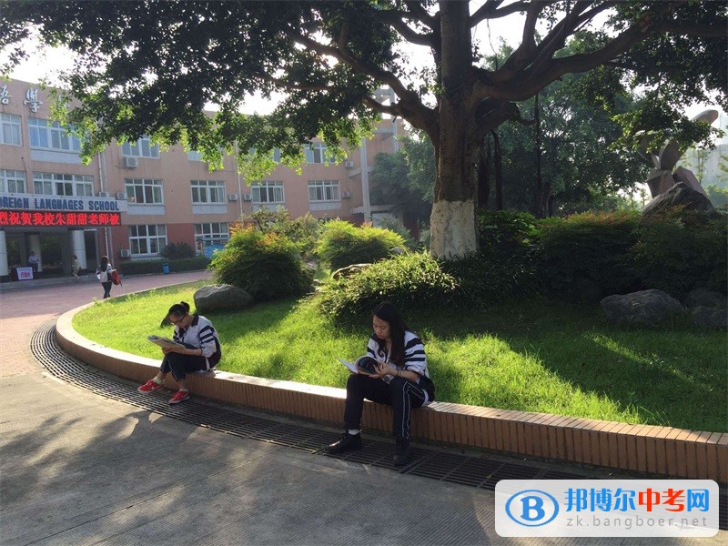 成都市實驗三原外語學校2022年招生計劃