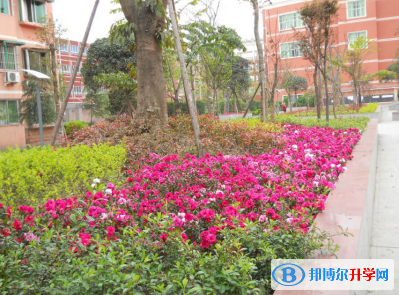 四川省安縣中學怎么樣、好嗎