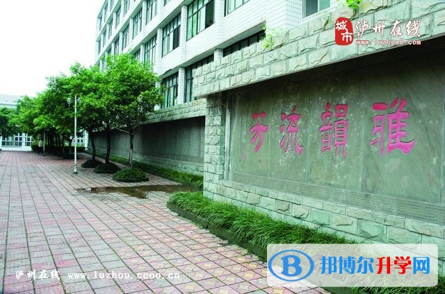 四川省瀘縣第二中學(xué)2017年招生計(jì)劃