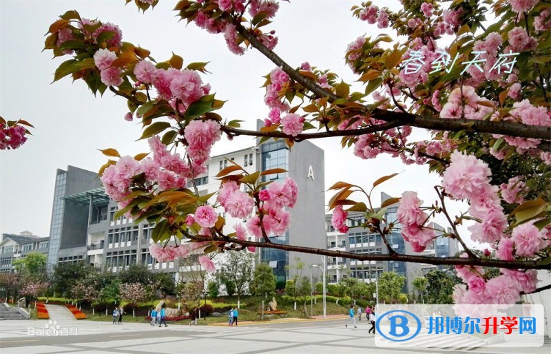 瀘州老窖天府中學2017年招生計劃