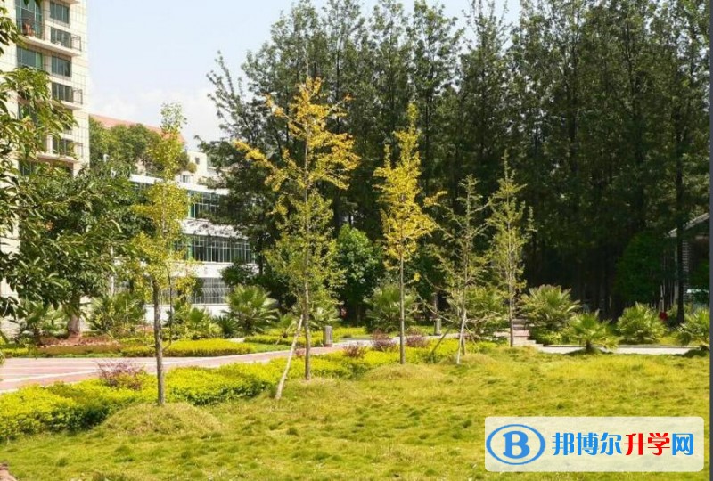 西昌市川興中學2022年招生代碼