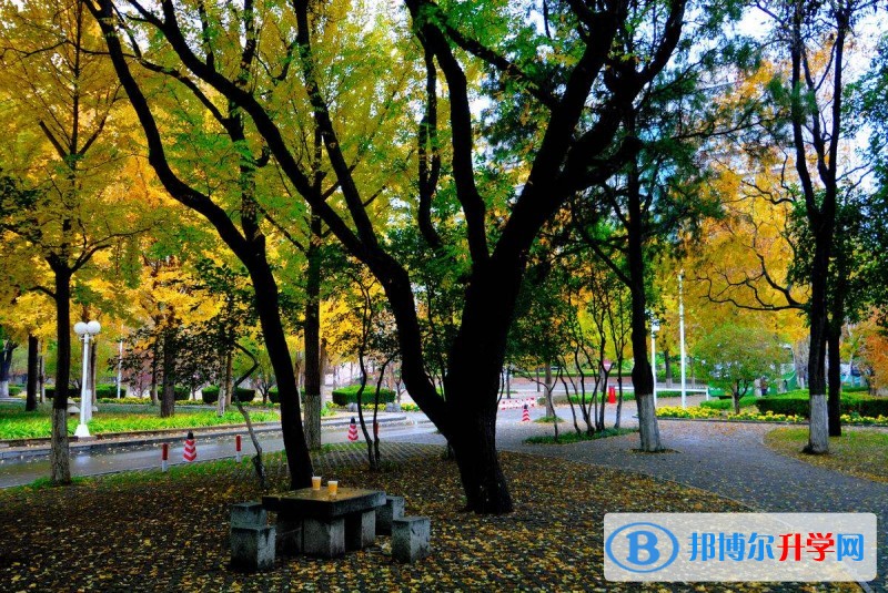 畢節市實驗高級中學學費