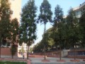 六盤水市第二中學2022年地址在哪里