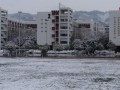 昆明市西山區第一中學地址在哪里