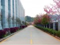 嵩明縣第一中學(xué)怎么樣、好不好