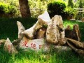 玉溪師院附中2023年招生錄取分數線