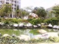 江川縣第一中學2023年招生錄取分數線