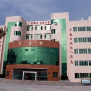 墊江第一中學校
