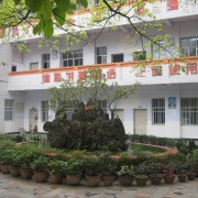 重慶市沙坪壩實驗中學校