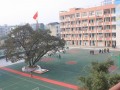 重慶市大足區(qū)龍崗中學(xué)2025年招生代碼