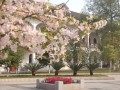 重慶市大足中學2022年招生辦聯系電話