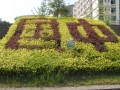 重慶市萬州國本中學地址在哪里