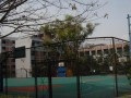 重慶市萬州第二高級中學怎么樣、好不好