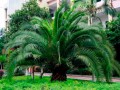 重慶市潼南中學地址在哪里
