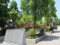 重慶南川市第三中學2025年招生辦聯系電話