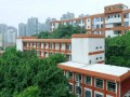 四川外語(yǔ)學(xué)院附屬外國(guó)語(yǔ)學(xué)校2023年招生錄取分?jǐn)?shù)線