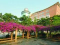 重慶市實驗中學2023年招生錄取分數線