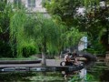 重慶江津中學校2021年招生辦聯系電話