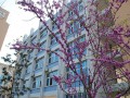 重慶市禮嘉中學校地址在哪里