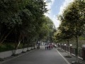 重慶涪陵實驗中學2023年招生錄取分數線