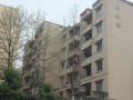 墊江第五中學(xué)校2023年招生錄取分?jǐn)?shù)線