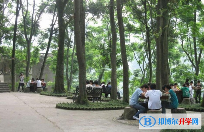 忠縣三匯中學招生辦聯系電話