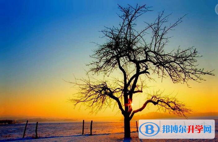 貴陽中考后計劃