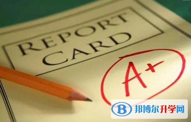 成都如何查詢中考錄取結果
