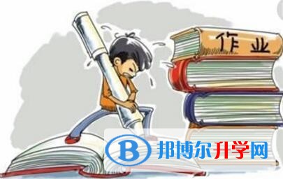 成都教育網中考查詢
