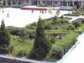 納雍雍安育才高級中學地址在哪里