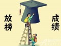 成都中考統(tǒng)考成績