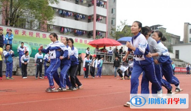 天柱第二中學招生代碼