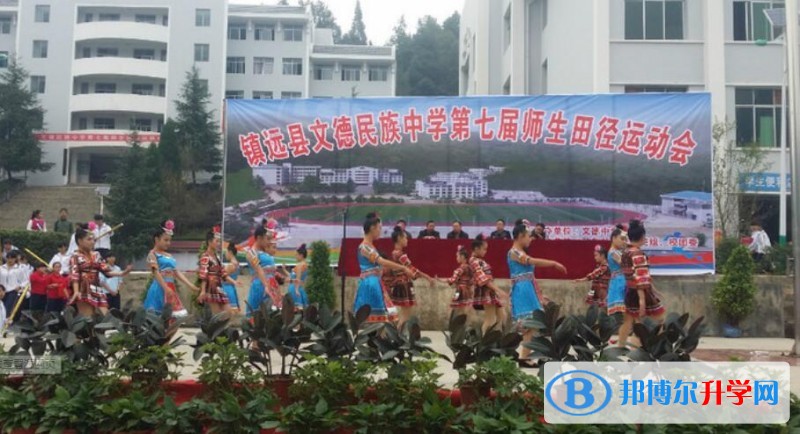 鎮(zhèn)遠(yuǎn)文德民族中學(xué)學(xué)費(fèi)