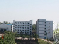重慶涪陵第十中學校2025年招生代碼