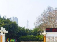 成都市第二十中學校2023年招生錄取分數線