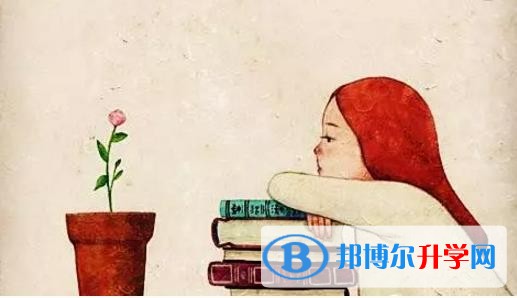 云南如何查詢中考錄取結果