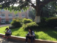 成都市實驗三原外語學校2025年招生計劃