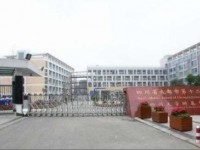 四川大學附屬中學2023年招生錄取分數線