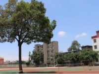 四川省廣漢市第六中學2023年招生錄取分數(shù)線