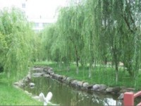廣元外國(guó)語(yǔ)學(xué)校2025年招生計(jì)劃