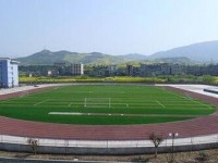 四川省滎經中學2023年招生錄取分數線