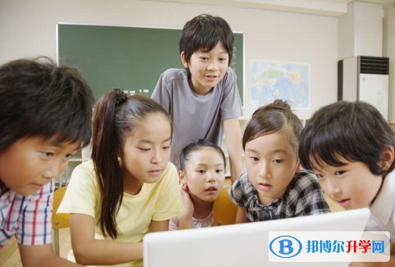 云南中考錄取報名網