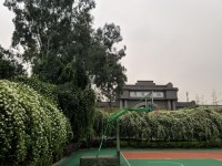 成都鹽道街中學(xué)外語學(xué)校怎么樣、好不好