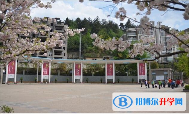 花溪英豪學校學費